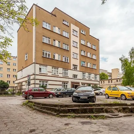 3 Maja Yellow Zielony Zolwik *